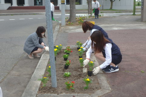 池田町駅前通りの環境美化